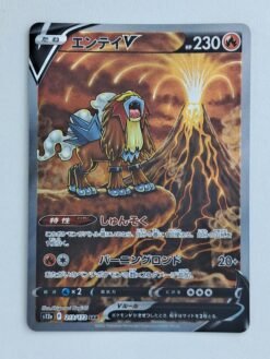 Entei V #213